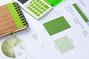 Special Audited Reports